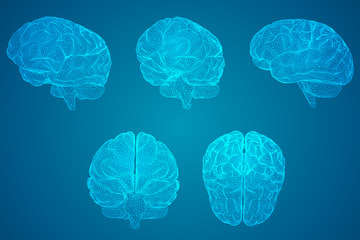 敢于质疑的故事有哪些？