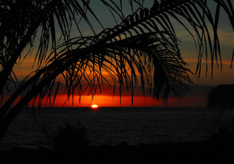 一年级的简单又漂亮禁毒手抄报 一年级的手抄报