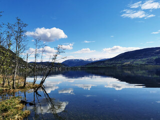 关于科学家的小故事200字以上