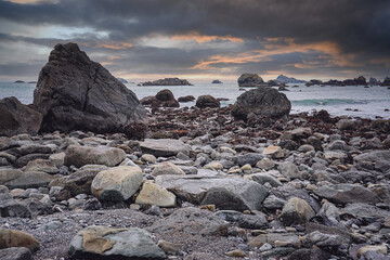 胚胎是怎样形成的