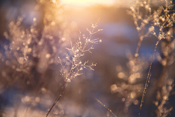 胆机与功放的区别-