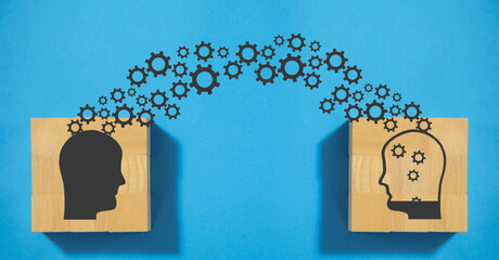 《星落凝成糖》里的经典台词语录