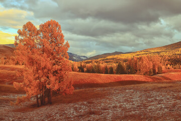 关于科学家的小故事200字以上