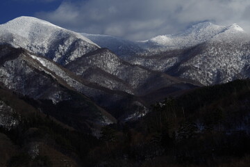 关于科学家的小故事200字以上