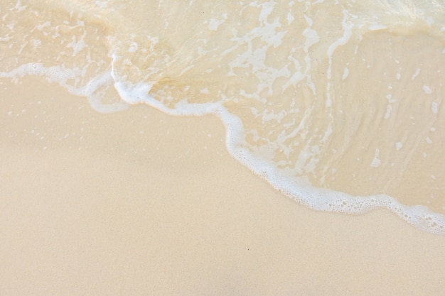 古董局中局五脉原型