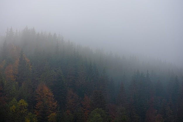 胆机与功放的区别-