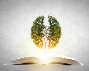 胆机与功放的区别-