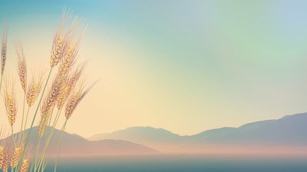 形容花的唯美短句