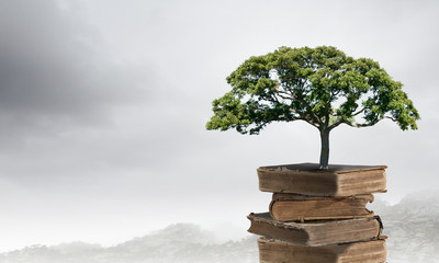 《星落凝成糖》里的经典台词语录