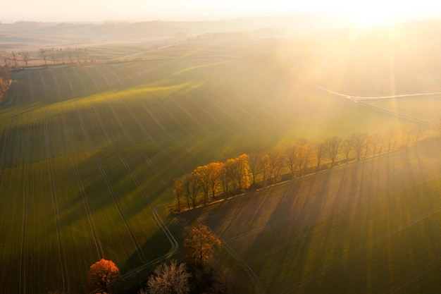 形容花的唯美短句
