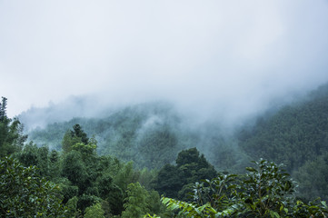 《星落凝成糖》里的经典台词语录